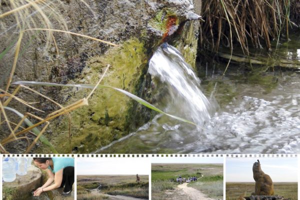 Родник согласия