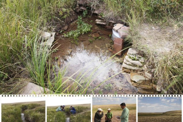 Шарыкты булак