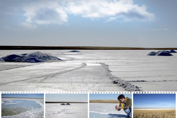 Соленое безмолвие