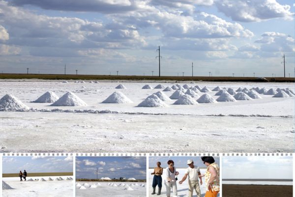 Сужарган тузы