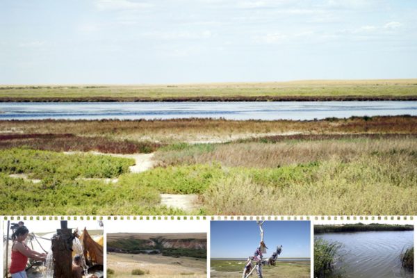 Целебный источник