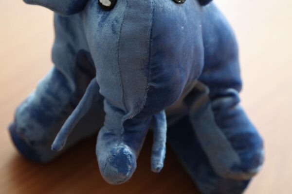 1 место Харенко Альбина Фурмановская сш