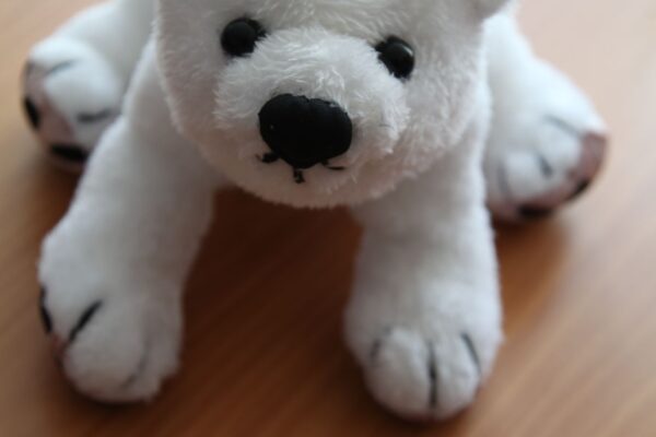 2 место Шарафудинова Елизавета сш №2, 3 а кл.