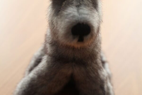 2 место Вовченко Даниель сш №2, 4 кл.