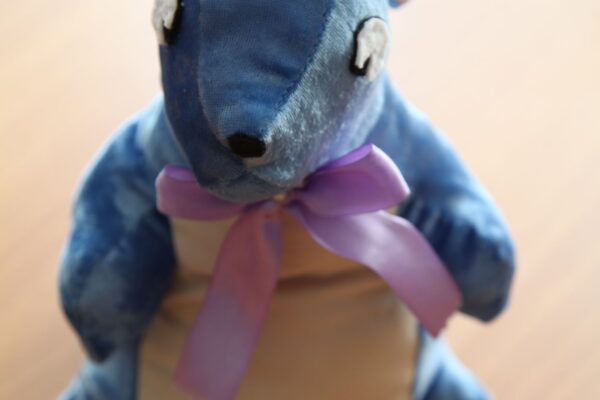 3 место Хасен Сабина Фурмановская сш