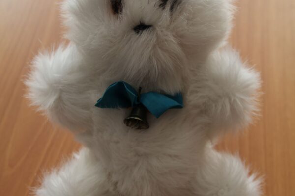 3 место Хряпков Андрей сш №10 1 б кл.