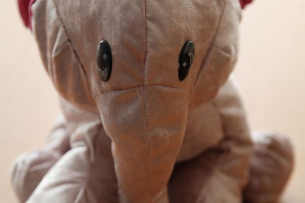 Гран-при Немченко Дарья сш №2 , 1 кл