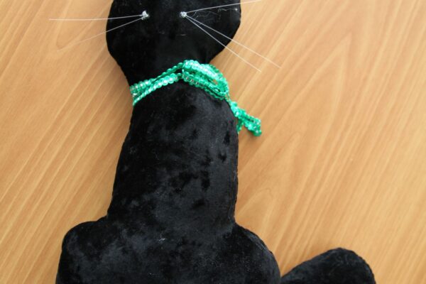 Ильясова Томирис сш№10 3б кл